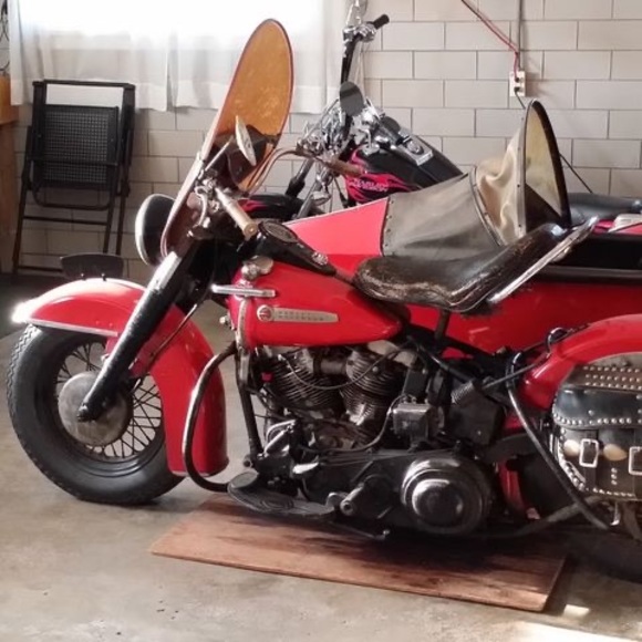 Meet your Posher, Timmy - Picture 1 of 1